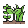 Hop 010 icon diversiteit